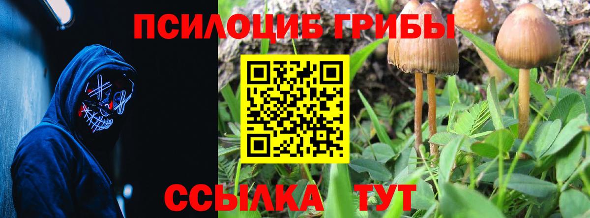 Волгоград  Галлюциногенные грибы мухоморы  Вход с VPN  Галлюциногенные грибы ЛСД 